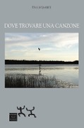 Cover-Bild zum Titel 'Dove trovare una canzone' von 'Duccio Limberti'