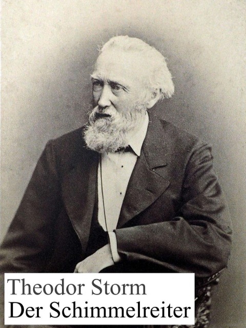 Der Schimmelreiter - Theodor Storm