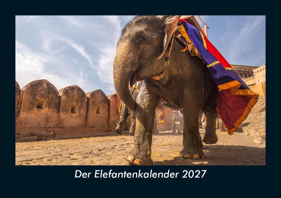 Der Elefantenkalender 2027 Fotokalender DIN A5 - Tobias Schmitt, Kevin Heber