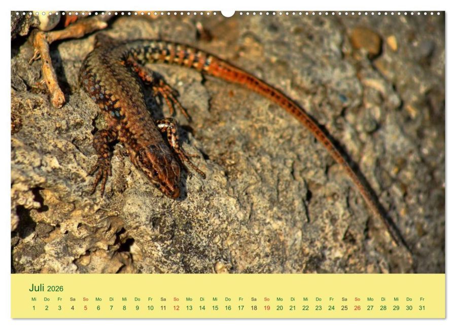 InsideView 12
