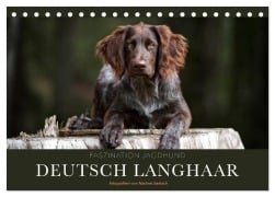 Cover-Bild zum Titel 'Faszination Jagdhund - Deutsch Langhaar (Tischkalender 2026 DIN A5 quer), CALVENDO Monatskalender' von 'Nadine Gerlach'