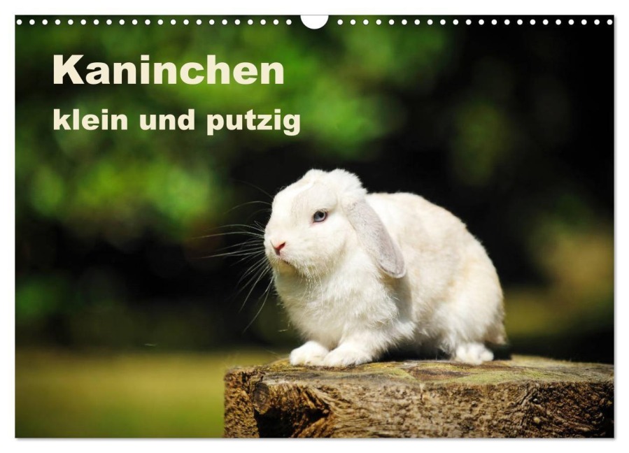 Kaninchen klein und putzig (Wandkalender 2027 DIN A3 quer), CALVENDO Monatskalender - Yvonne Janetzek