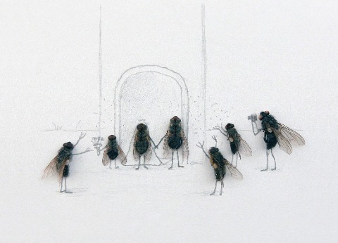 Das geheime Leben der Fliegen - 