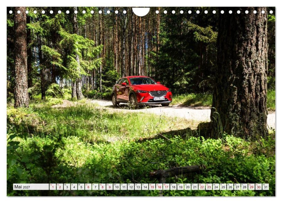 InsideView 10
