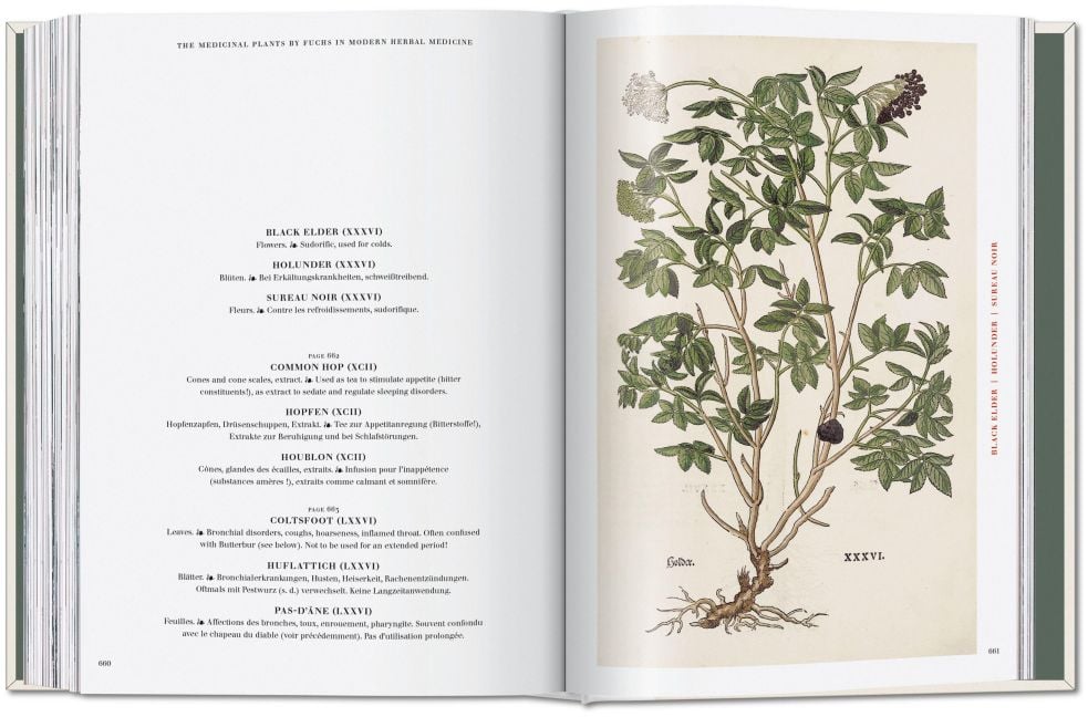 InsideView 10