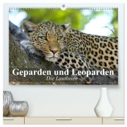 Die Lautlosen. Geparden und Leoparden (hochwertiger Premium Wandkalender 2026 DIN A2 quer), Kunstdruck in Hochglanz - Elisabeth Stanzer