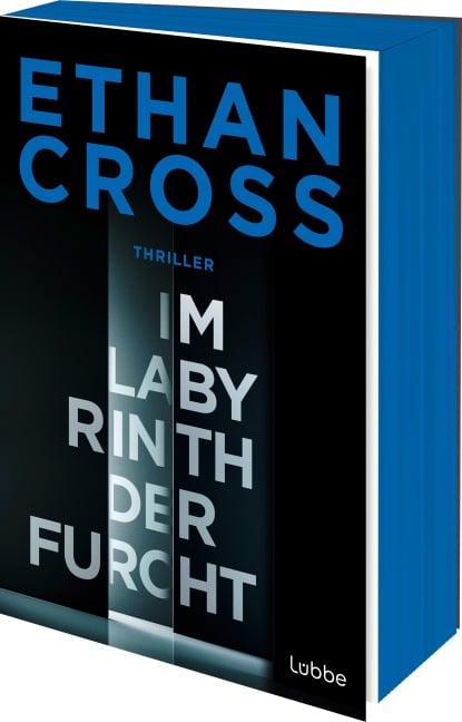 Im Labyrinth der Furcht - Ethan Cross