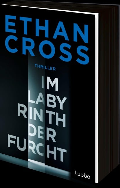 Im Labyrinth der Furcht - Ethan Cross