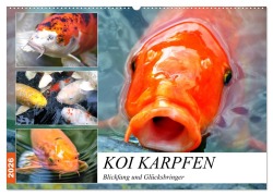 Koi Karpfen. Blickfang und Glücksbringer (Wandkalender 2026 DIN A2 quer), CALVENDO Monatskalender - Rose Hurley