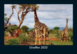 Cover-Bild zum Titel 'Giraffen 2025 Fotokalender DIN A5' von 'Tobias Becker'