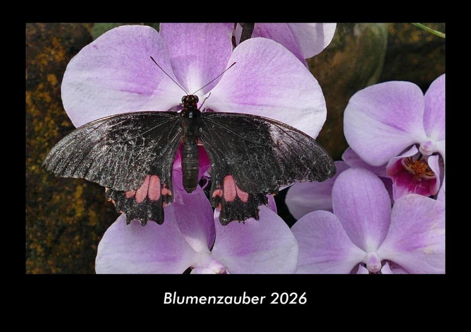 Blumenzauber 2026 Fotokalender DIN A3 - Tobias Becker