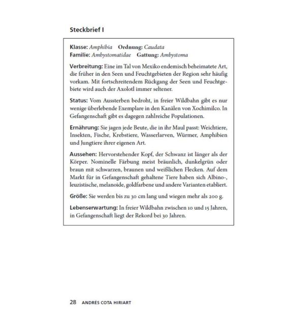 InsideView 5