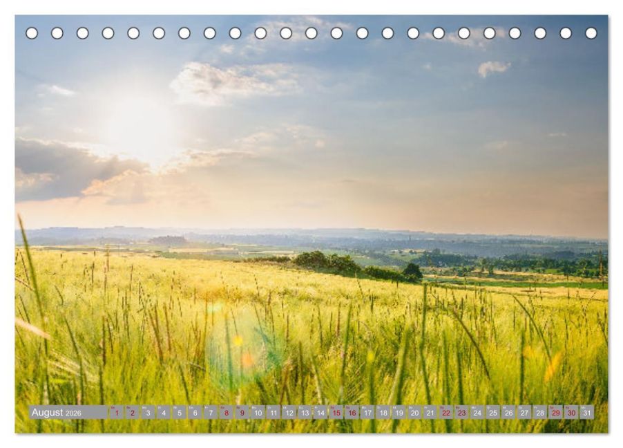 InsideView 13
