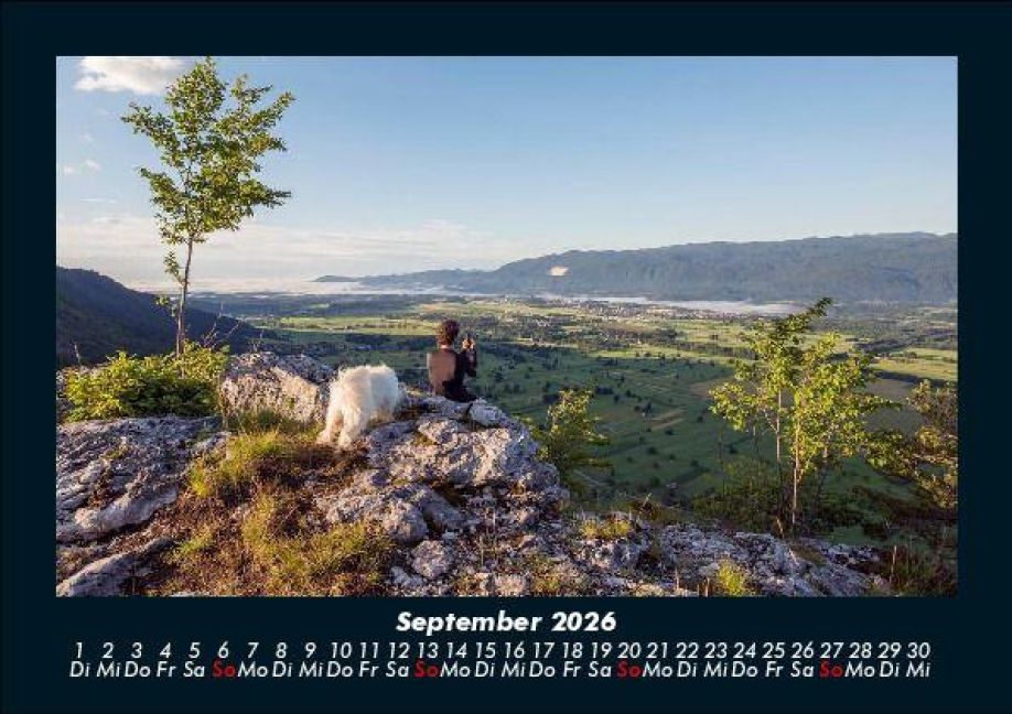 InsideView 1