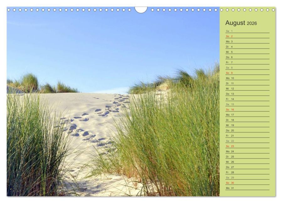 InsideView 13