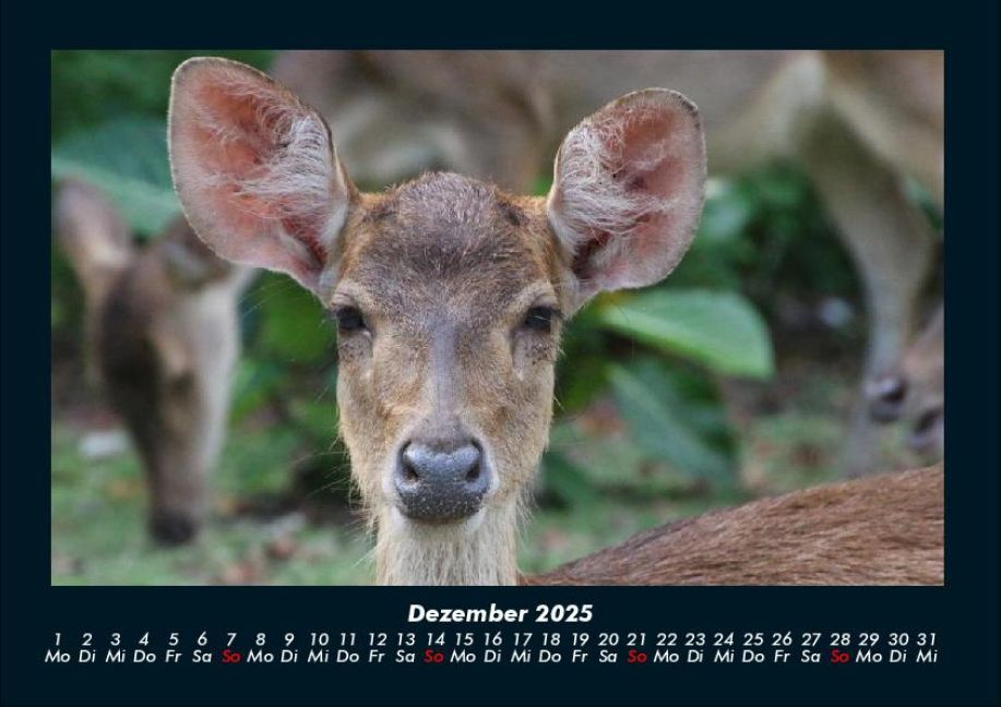 InsideView 4