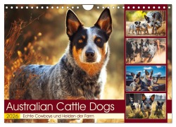 Australian Cattle Dogs. Echte Cowboys und Helden der Farm (Wandkalender 2026 DIN A4 quer), CALVENDO Monatskalender - Rose Hurley