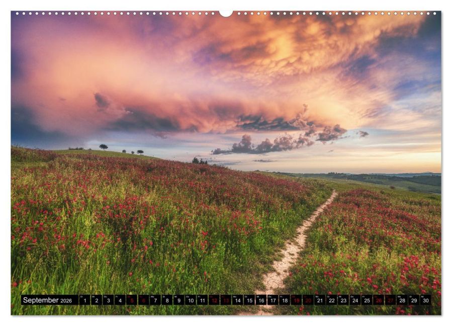 InsideView 13