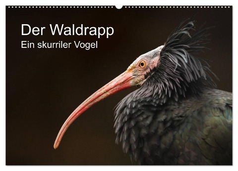 Der Waldrapp - Ein skurriler Vogel (Wandkalender 2025 DIN A2 quer), CALVENDO Monatskalender - Cloudtail The Snow Leopard