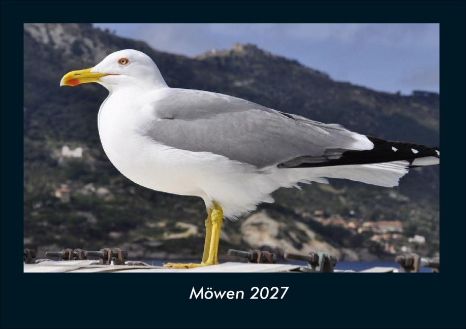 Möwen 2027 Fotokalender DIN A4 - Tobias Schmitt, Kevin Heber