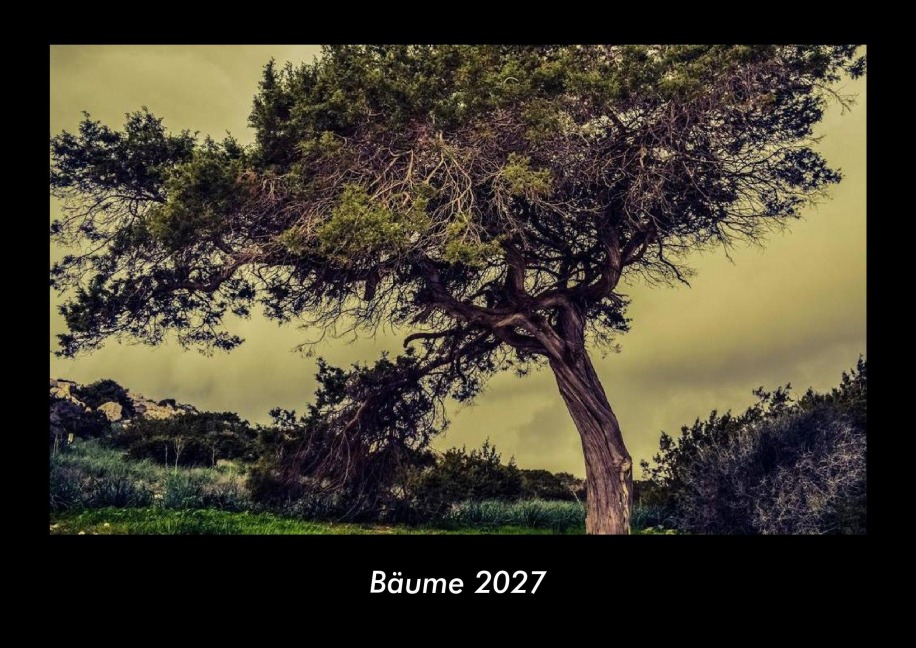 Bäume 2027 Fotokalender DIN A3 - Tobias Becker