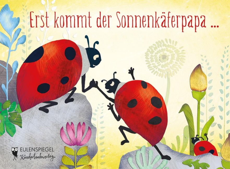 Erst kommt der Sonnenkäferpapa ... - 