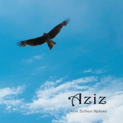 Cover-Bild zum Titel 'Aziz' von 'Zoltan Kalasz'
