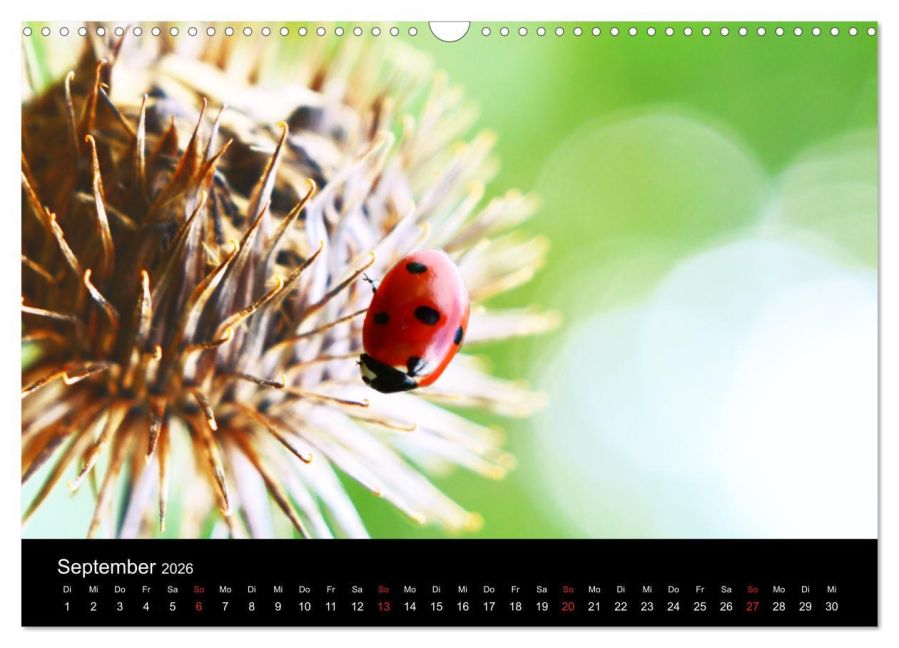 InsideView 14