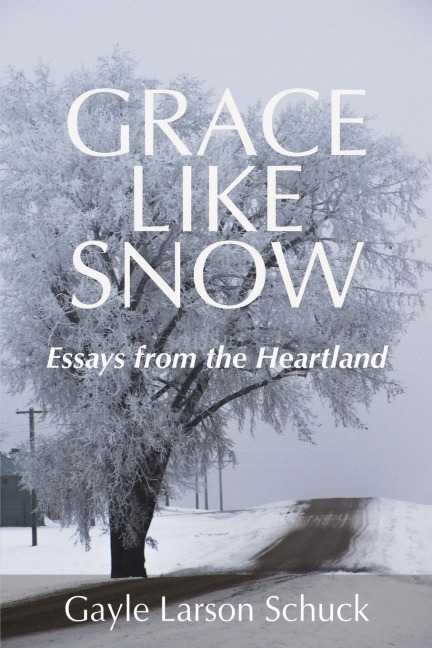 Grace Like Snow - Gayle Larson Schuck