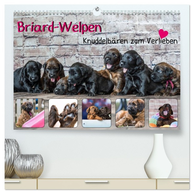 Briard-Welpen - Knuddelbären zum Verlieben (hochwertiger Premium Wandkalender 2026 DIN A2 quer), Kunstdruck in Hochglanz - Sonja Teßen