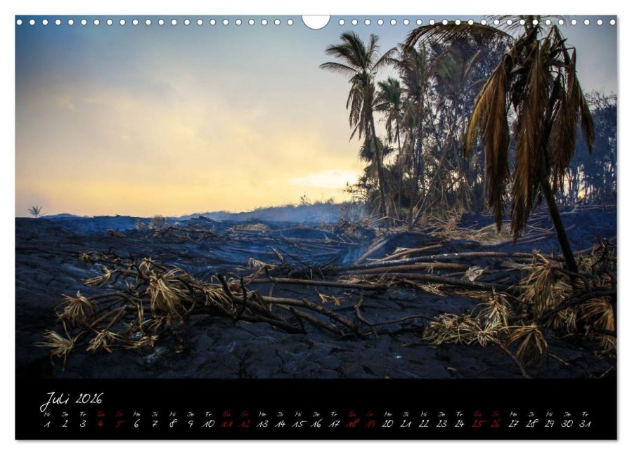 InsideView 12