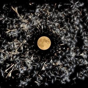 All Of This Chance - Lisa O'Neill