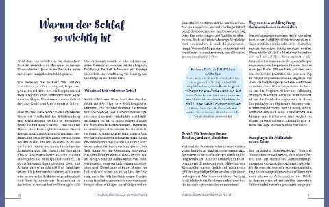 InsideView 2