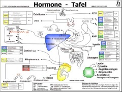 Cover-Bild zum Titel 'Hormone Tafel' von ''