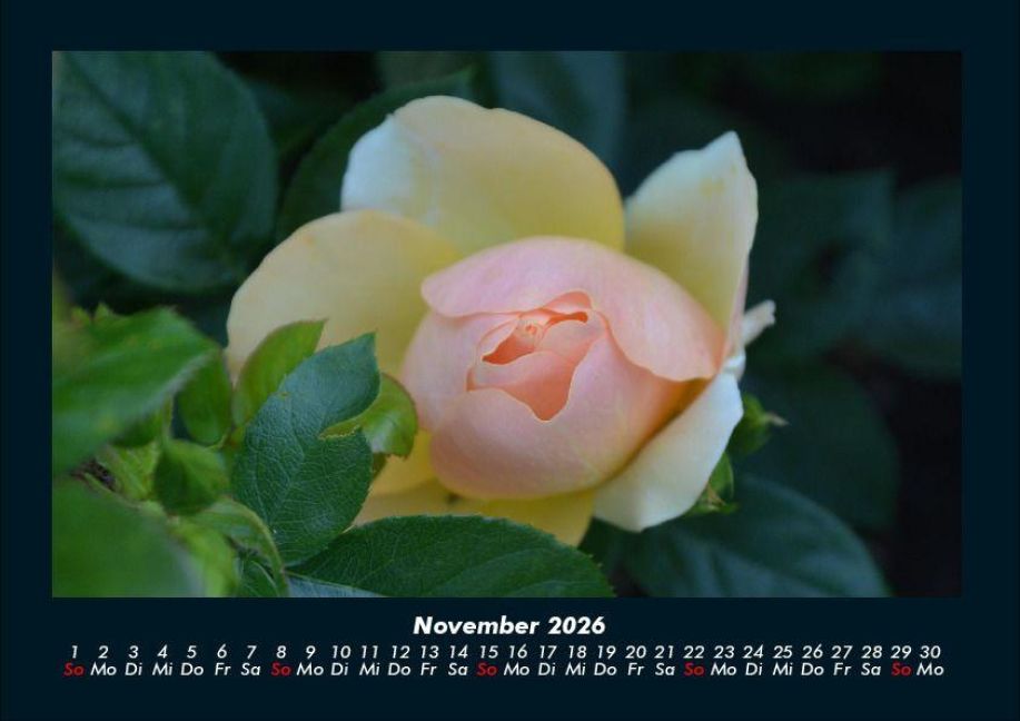 InsideView 3
