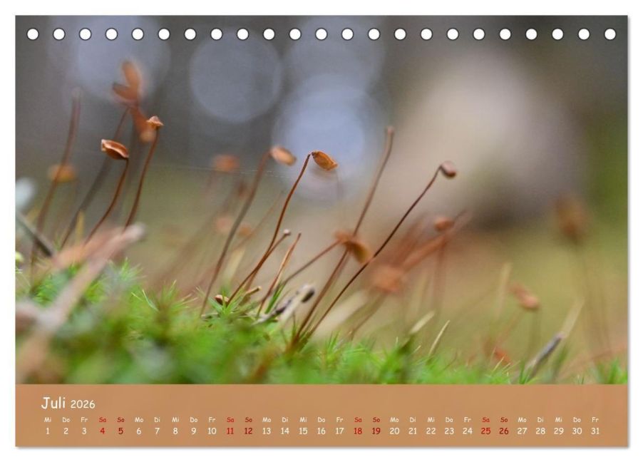 InsideView 12