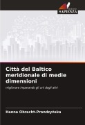 Cover-Bild zum Titel 'Città del Baltico meridionale di medie dimensioni' von 'Hanna Obracht-Prondzy¿ska'