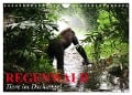 Regenwald ¿ Tiere im Dschungel (Wandkalender 2025 DIN A4 quer), CALVENDO Monatskalender - Elisabeth Stanzer