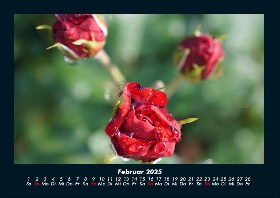 InsideView 6