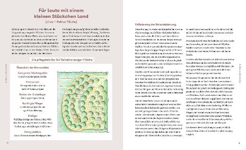 InsideView 6