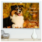 Cover-Bild zum Titel 'Bekannt wie ein bunter Hund. Australian Shepherd (hochwertiger Premium Wandkalender 2026 DIN A2 quer), Kunstdruck in Hochglanz' von 'Sigrid Starick'