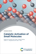 Cover-Bild zum Titel 'Catalytic Activation of Small Molecules' von ''