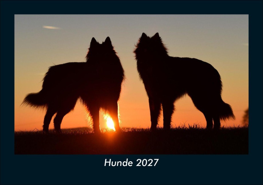 Hunde 2027 Fotokalender DIN A5 - Tobias Schmitt, Kevin Heber