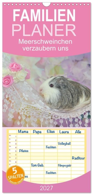 Familienplaner 2027 - Familienplaner MEERSCHWEINCHEN verzaubern uns mit 5 Spalten (Wandkalender, 21 x 45 cm) CALVENDO - Sabine Hampe-Neves