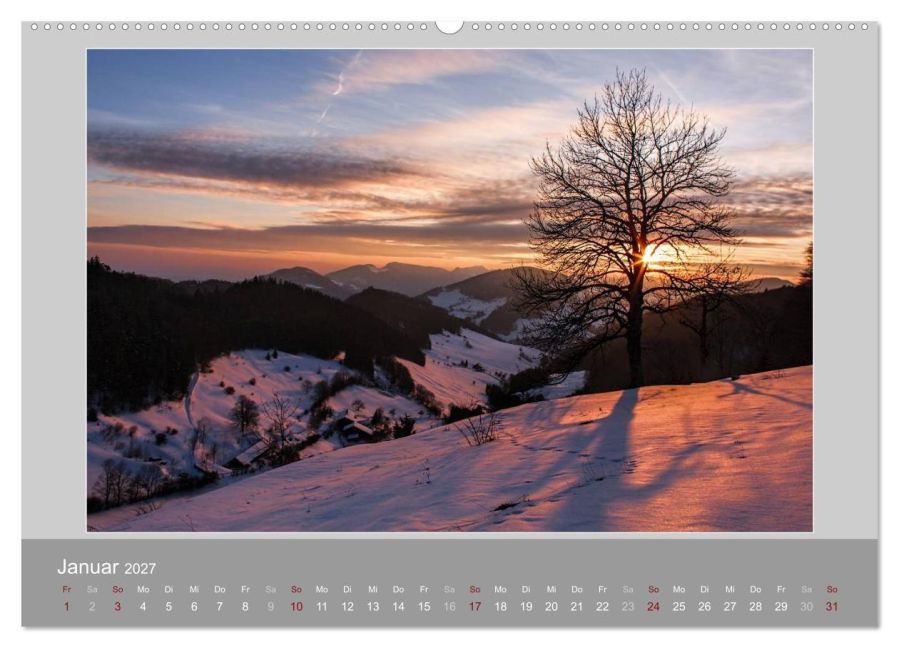 InsideView 5