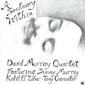 Cover-Bild zum Titel 'A Sanctuary Within' von 'David Murray'