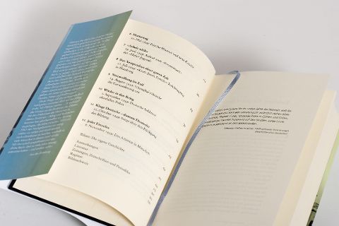 InsideView 4