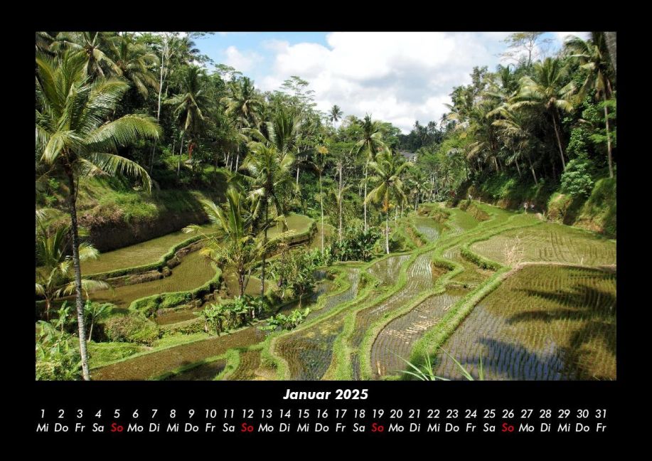 InsideView 5