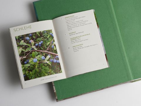 InsideView 13