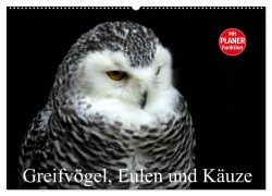 Greifvögel, Eulen und Käuze (Wandkalender 2026 DIN A2 quer), CALVENDO Monatskalender - Arno Klatt